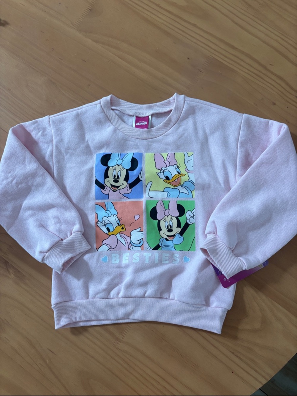Disney Light Pink Minnie & Daisy Besties Panel Sweatshirt